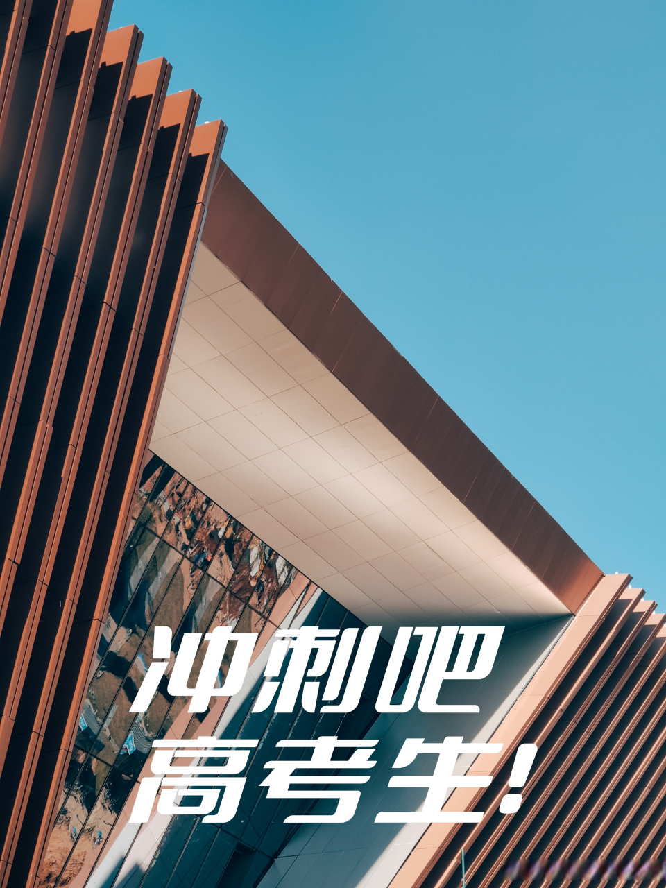 台湾队披荆斩棘，磨砺自身，勇往直前的简单介绍